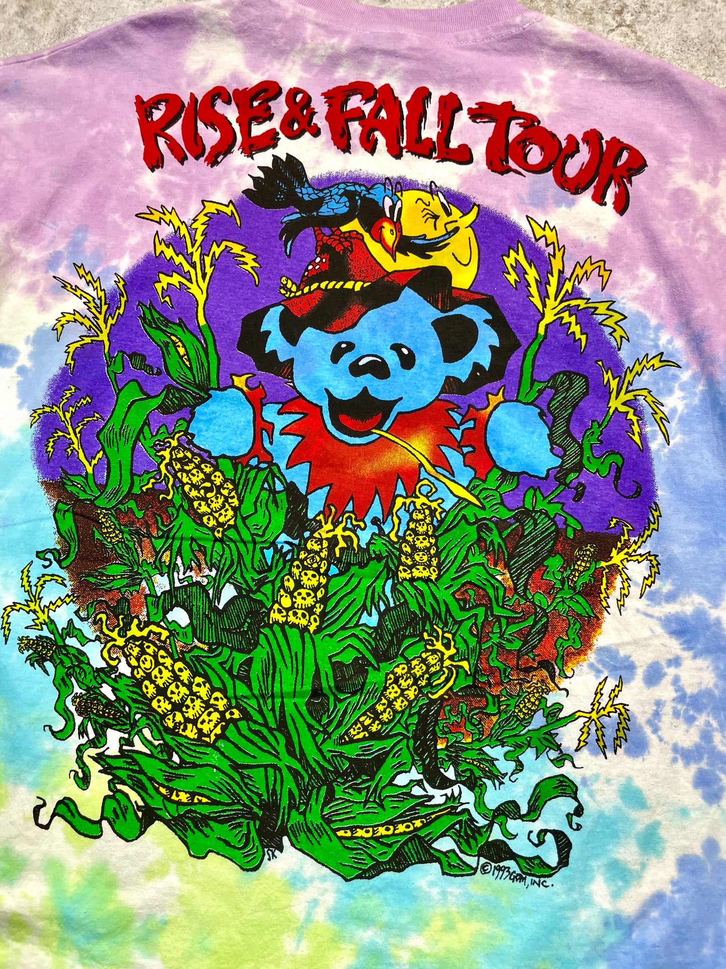 1993 Grateful Dead Rise & Fall Tour Tee (X-Large), Tee - Vintage64.com