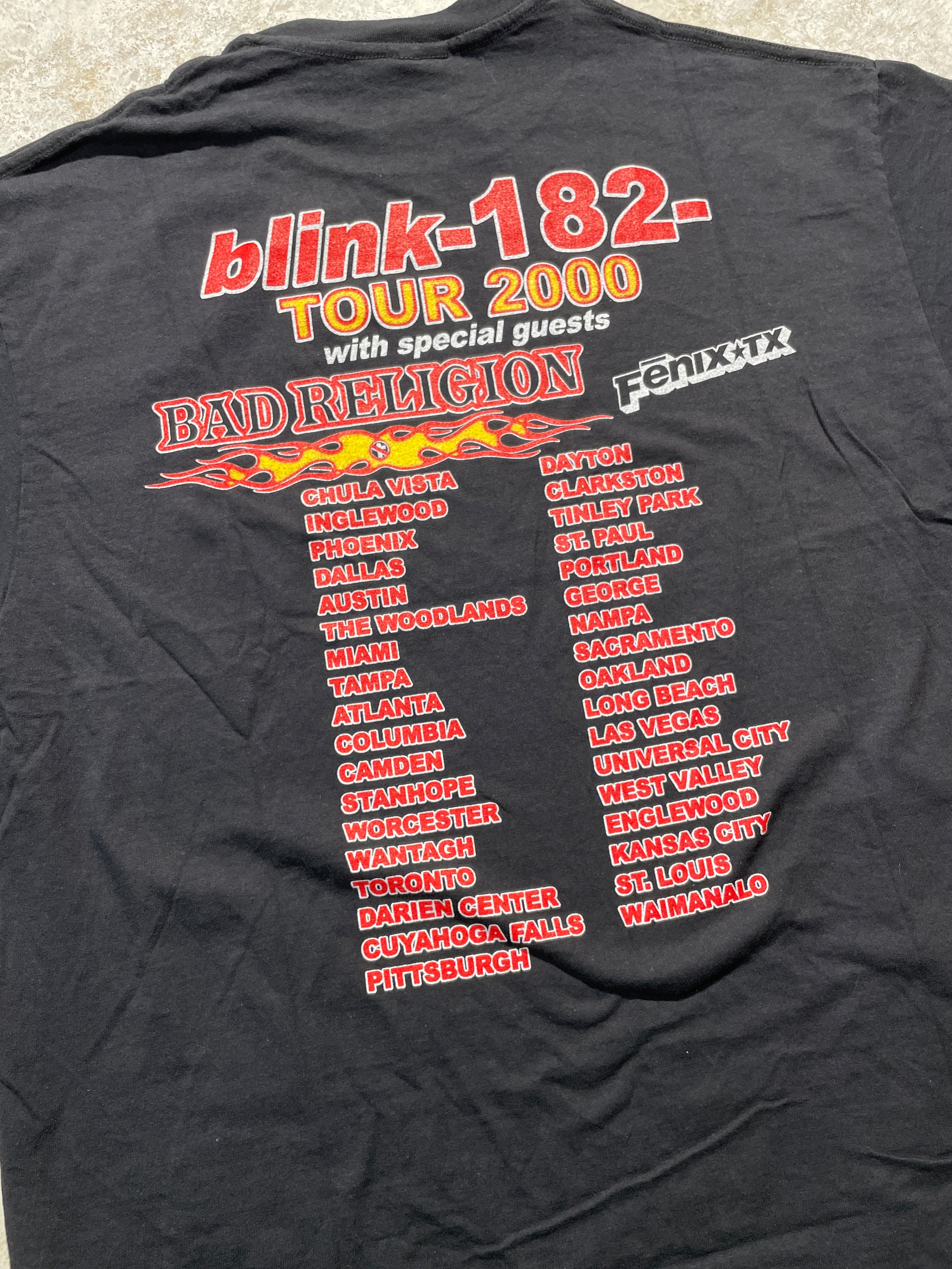 Vintage 2000s Blink 182 Tour Tee (X-Large)