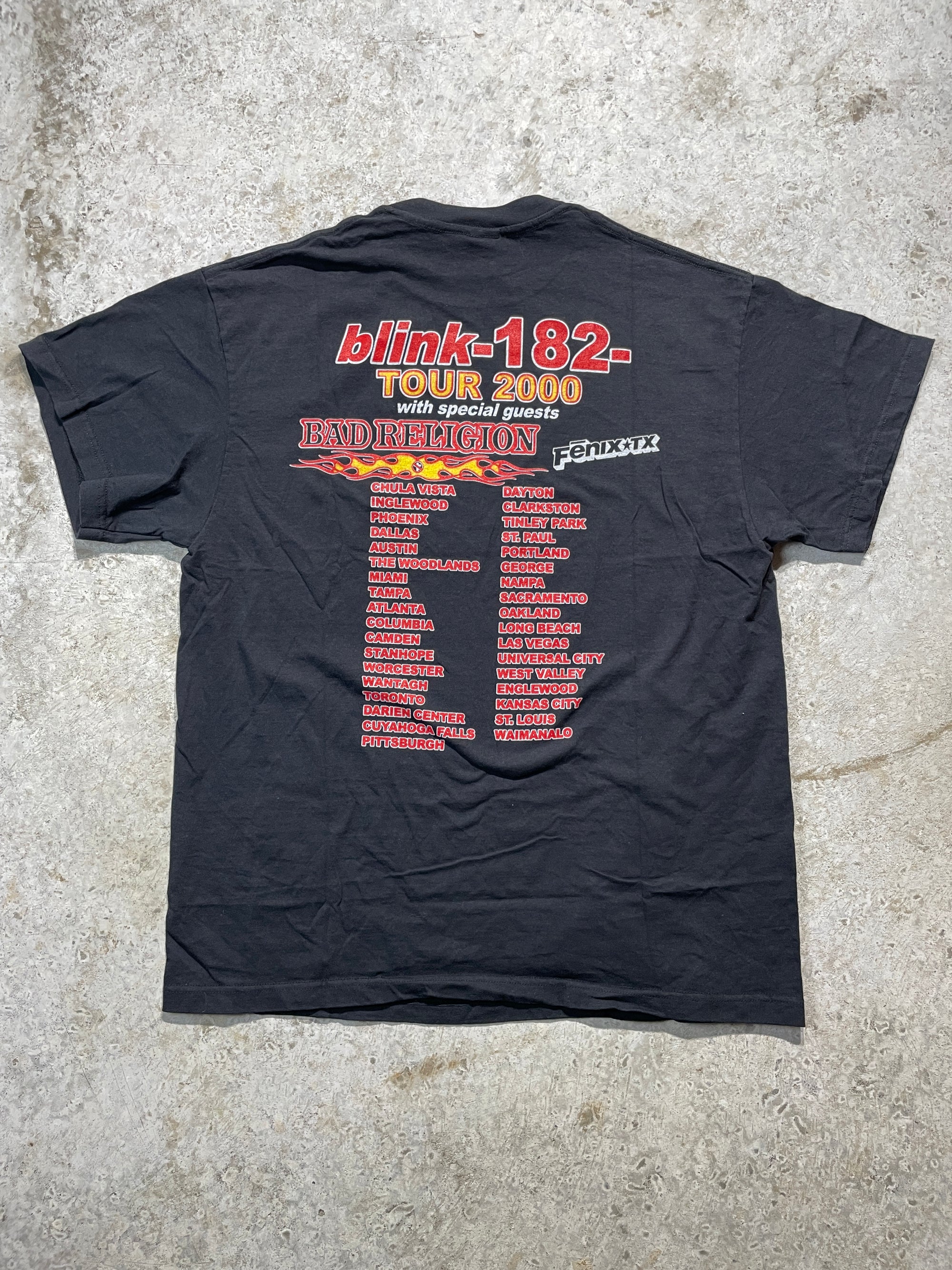 Vintage 2000s Blink 182 Tour Tee (X-Large)