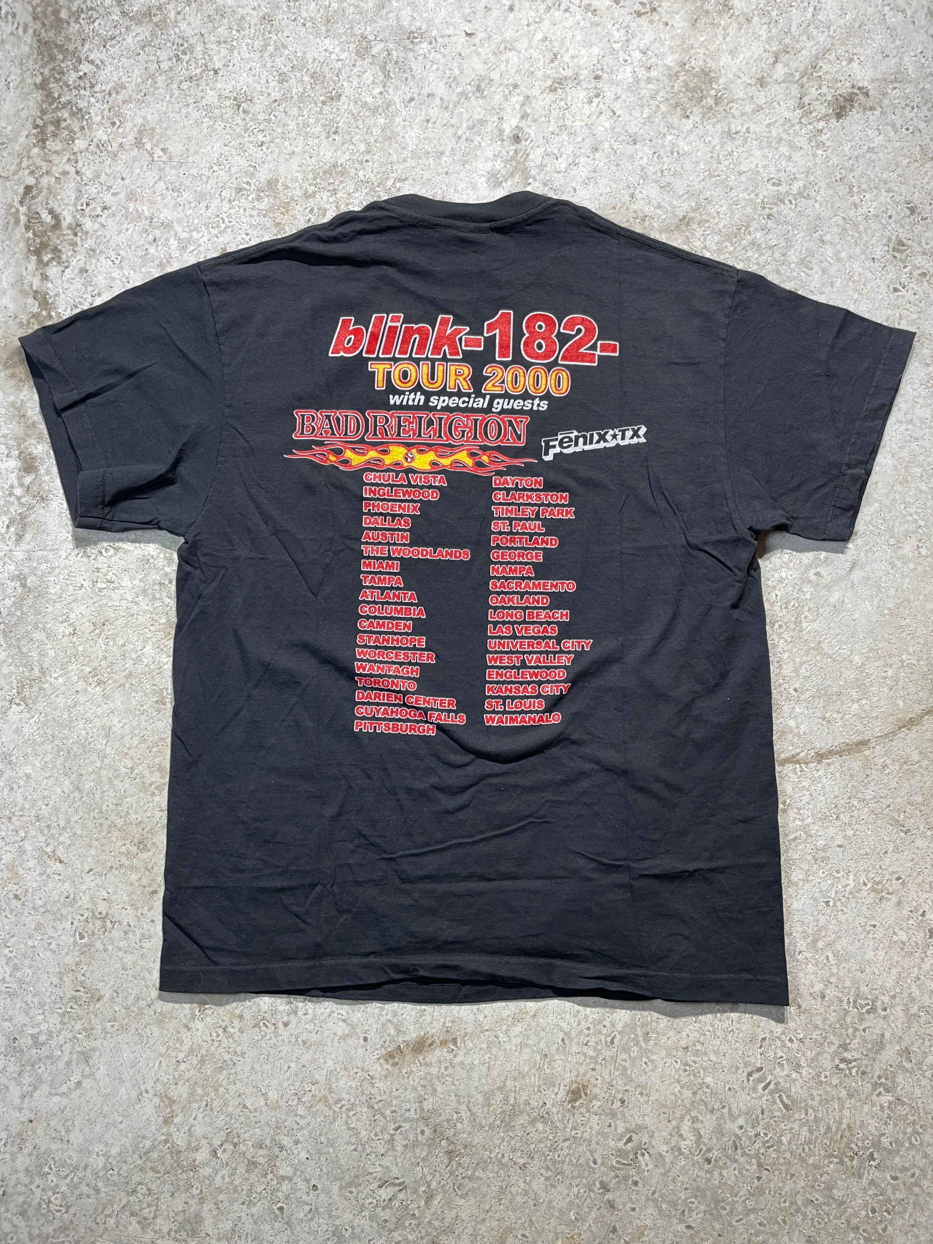 Vintage 2000s Blink 182 Tour Tee (X-Large)