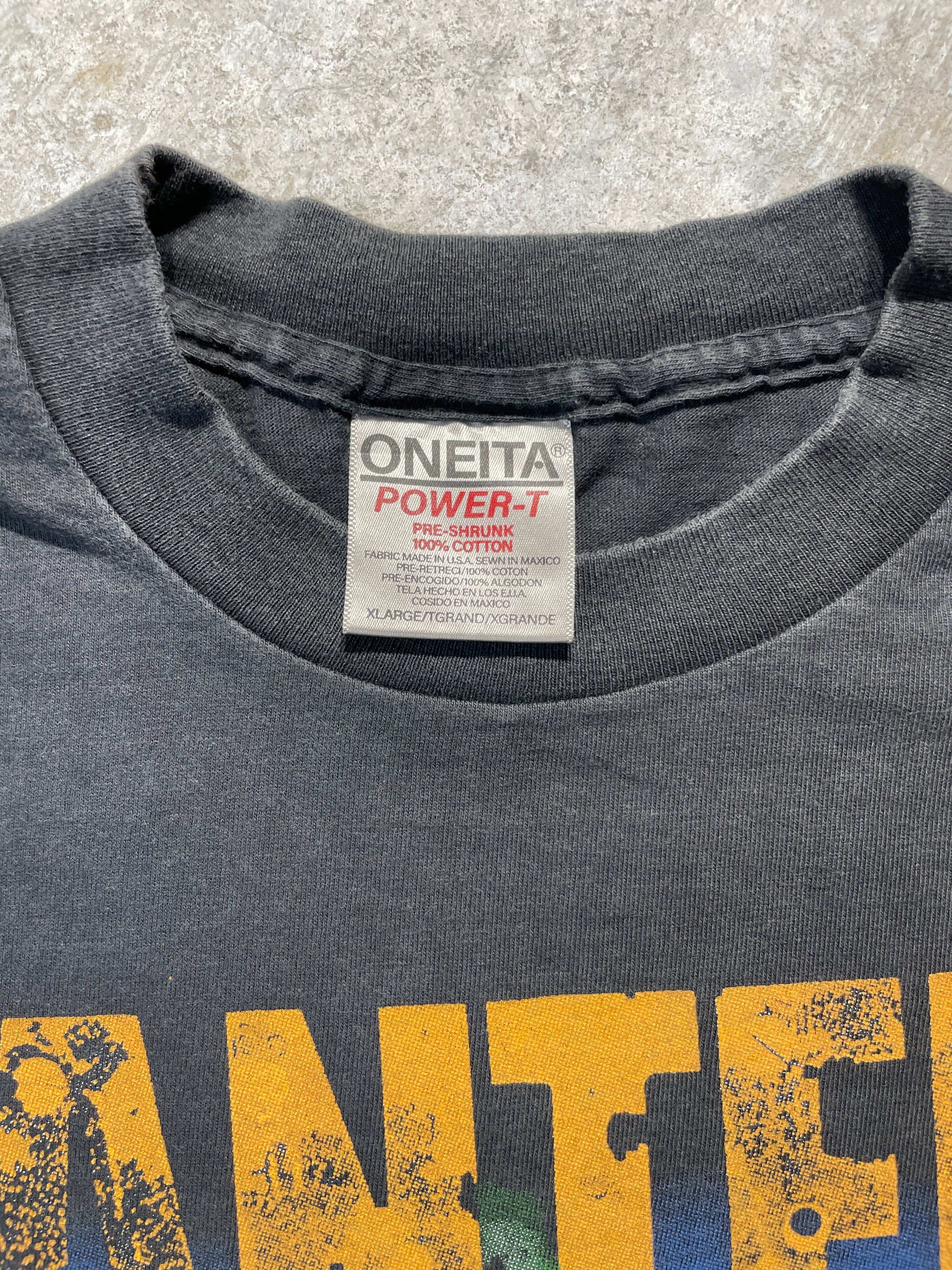 1994 Pantera Band World Tour Tee (X-Large)